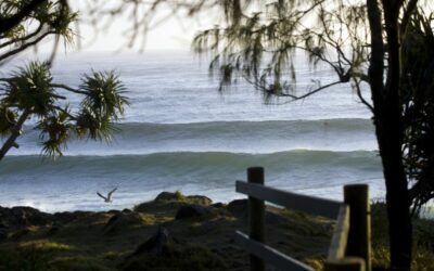 Celebrate Christmas in Cabarita Beach