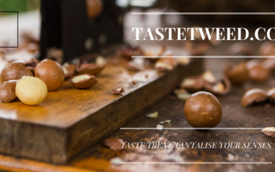 Taste the Tweed Coast at the Taste Food Festival!