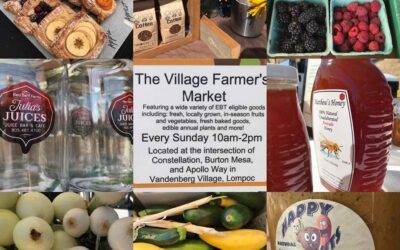 Stop by the New Village Farm Markets at Kingscliff