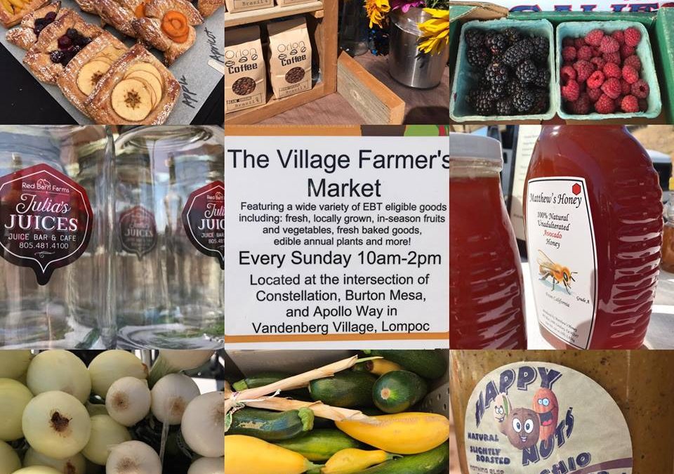 Stop by the New Village Farm Markets at Kingscliff