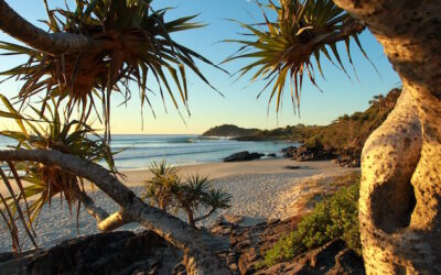 Spend Your Christmas on the Picturesque Tweed Coast