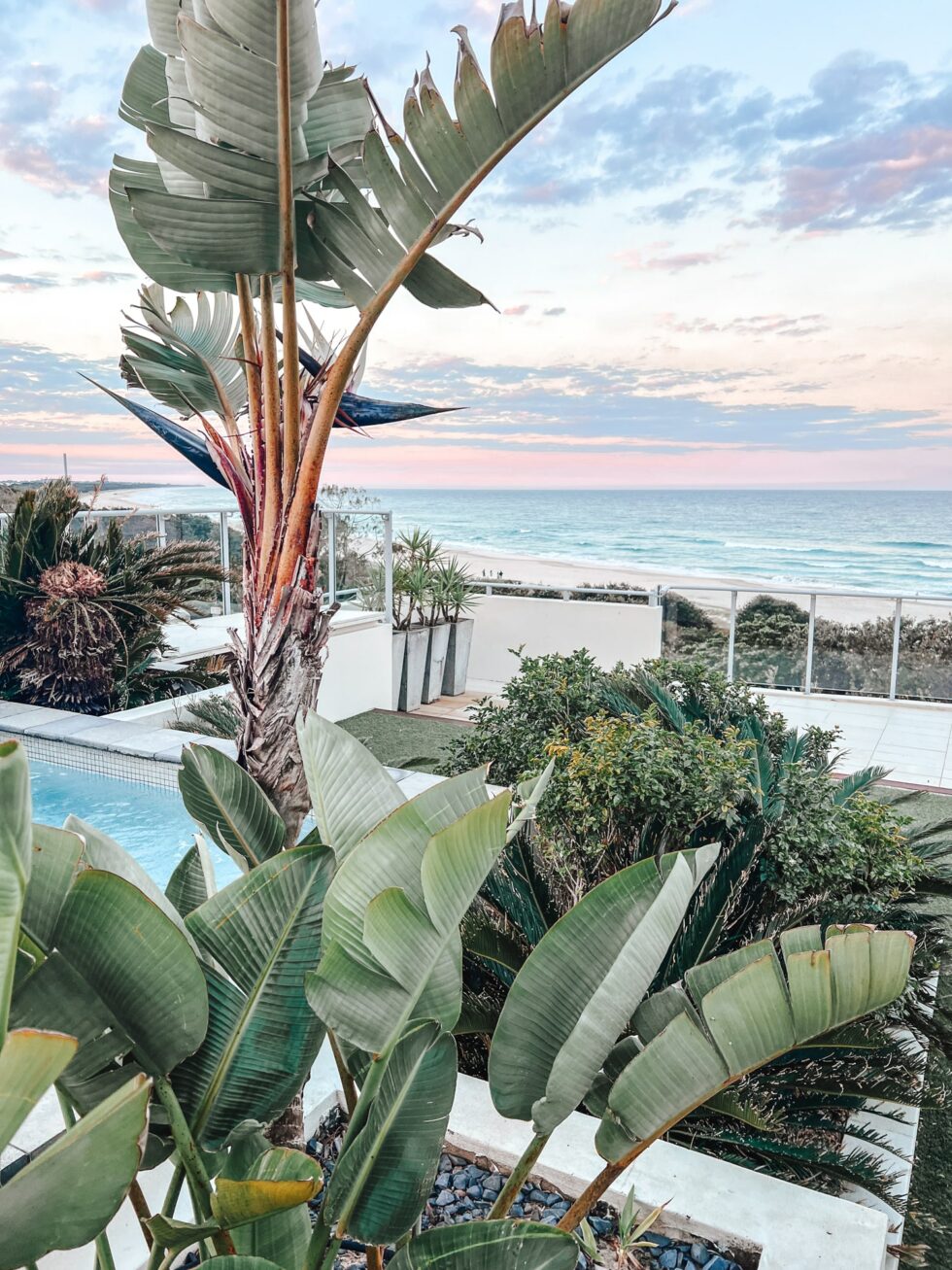 The Beach Cabarita Facilities - Swimming Pool