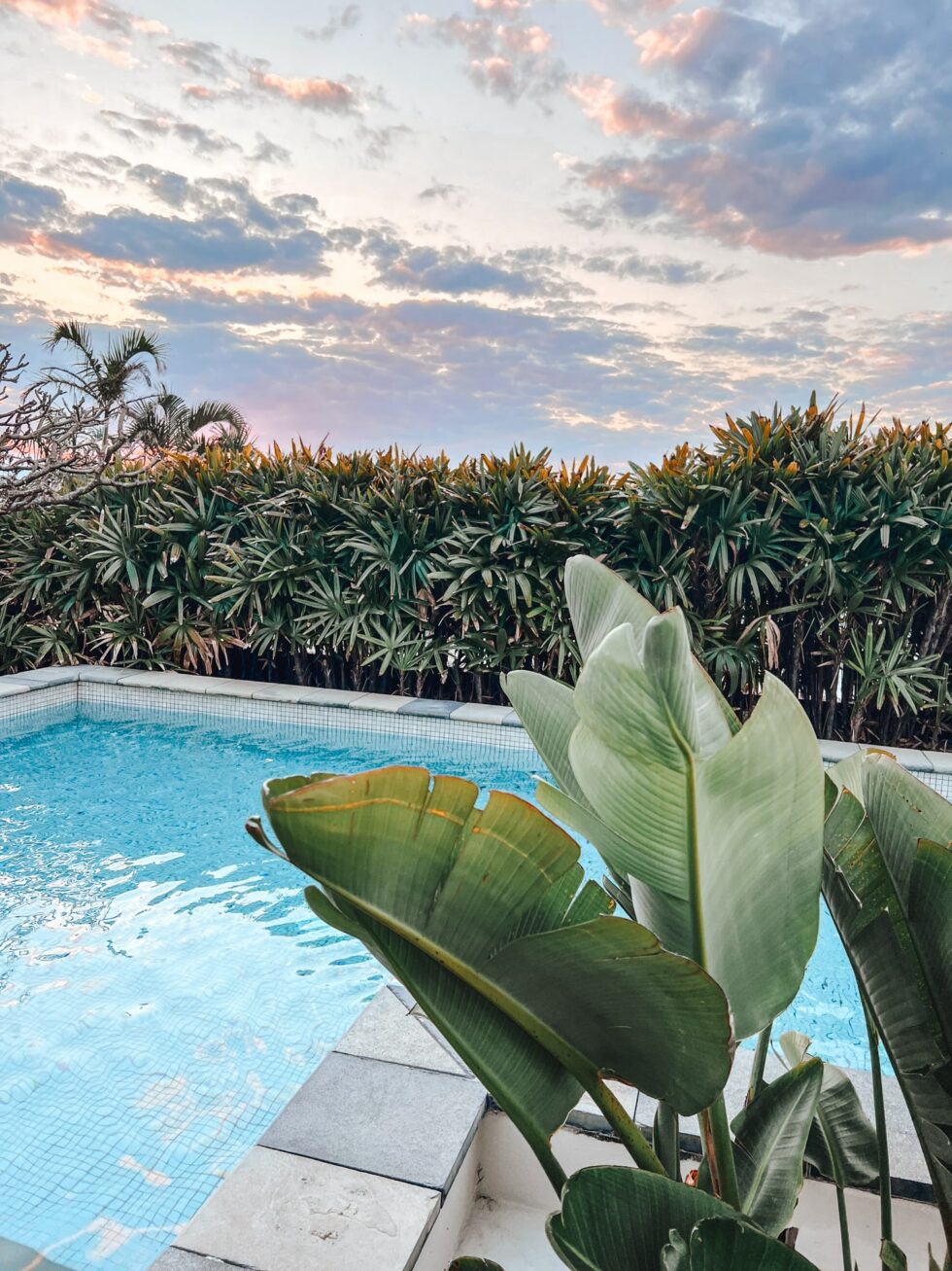 The Beach Cabarita Facilities - Swimming Pool