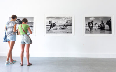 Tweed Hotlist: August NSW Events