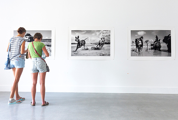 Two visitors view black-and-white dog photography at Lone Goat Gallery, a cultural highlight featured in August NSW events on the Tweed Coast.